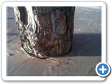 IMG00501-20120514-1942