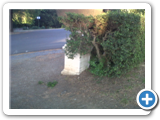 IMG00505-20120514-1945