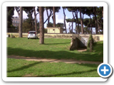 IMG00507-20120516-0903