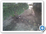 IMG00514-20120516-0916
