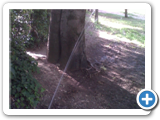 IMG00515-20120516-0917