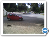 IMG00463-20120509-0935