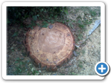 IMG00526-20120516-1745