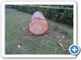 IMG00527-20120516-1746