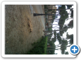 IMG00531-20120516-1748