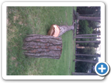 IMG00532-20120516-1750