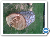 IMG00539-20120516-1752