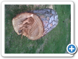 IMG00540-20120516-1752