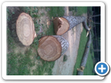 IMG00543-20120516-1753