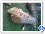 IMG00549-20120516-1754