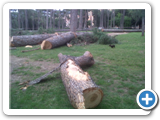 IMG00553-20120516-1756