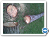 IMG00554-20120516-1757