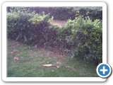 IMG00560-20120516-1806